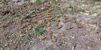 Ukrainische Streitkräfte verminen Donezk mit verbotenen Schmetterlingsminen